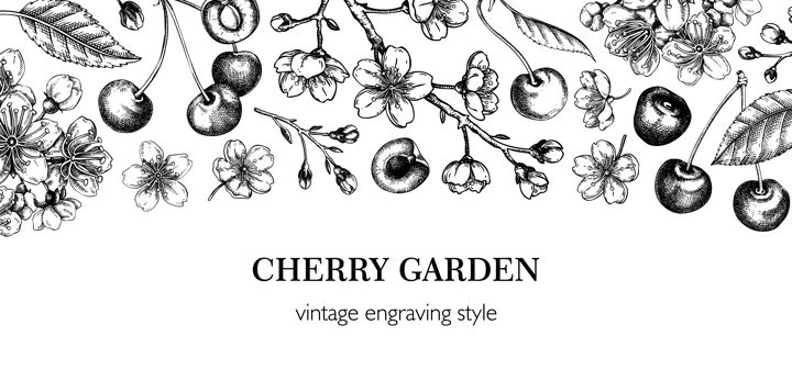 Spring banner, engraved style. Floral banner design. Cherry blossom, sakura flowers, berry fruit hand drawn vector illustration. NOT AI generated